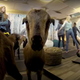 Image via Denver Int.’l Airport/YouTube.